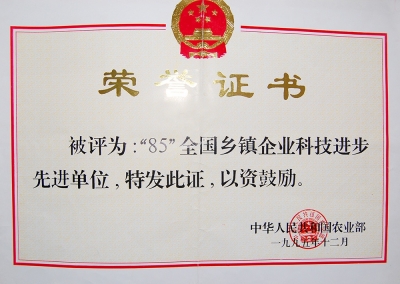 “85”全国乡镇企业科技进取先进单元